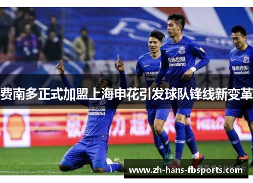 费南多正式加盟上海申花引发球队锋线新变革 费南多正式加盟上海申花引发球队锋线新变革